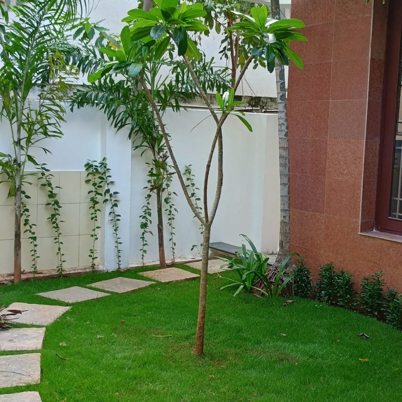 Gallery 7